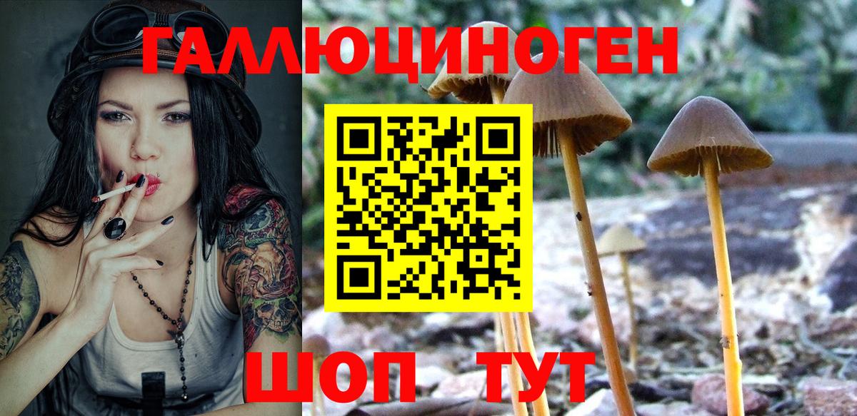 Азнакаево  Псилоцибиновые грибы MAGIC MUSHROOMS  Псилоцибиновые грибы GOLDEN TEACHER  Вход с VPN 
